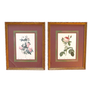 Pair of P. J. Redoute Lithographs Prints French Botanical Still Life Roses Framed