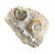 Contemporary Ammonite and Orthoceras Fossil Plaque - Organic Modern Prehistoric Art For Sale - Image 3 of 10