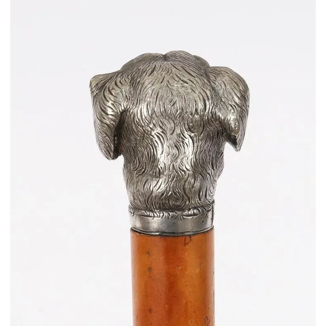 Antique Sliver Plated Handled Dogs Head Walking Stick For Sale - Image 10 of 15