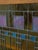 Wood Swartzendruber Frank Lloyd Wright Inspired Oak Bookcase For Sale - Image 7 of 18