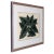 Botanical Lithographs from Linden’s L’Illustration Horticole - A Pair For Sale - Image 4 of 7