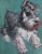 Original Miniature Schnauzer Dog Oil Painting by Christophe Cassidy For Sale - Image 4 of 4