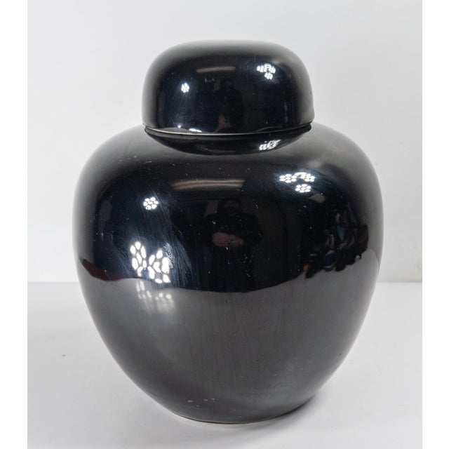 Late 19th Century 19th Century Chinese Chinoiserie Mirror Black Ginger Jar With Cover For Sale - Image 5 of 18
