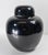 Late 19th Century 19th Century Chinese Chinoiserie Mirror Black Ginger Jar With Cover For Sale - Image 5 of 18