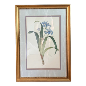 1980s Redouté Botanical Print in Gilded Frame, Blue Purple Iris
