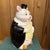Ceramic 1940s Macoy Formal Pig Jar For Sale - Image 7 of 7