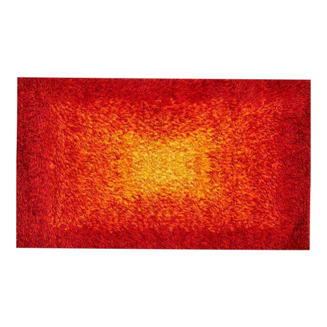 Karastan Scantic Radiant Area Rug 36" x 59" with Original Label Chairish