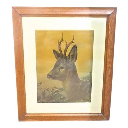 Antique Deer Gouache Painting For Sale