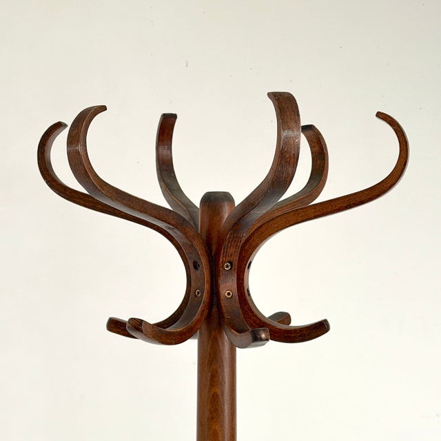Vintage Parrot Coat Rack in the style of Baumann, 1960s, in Good conditions. Designed 1920 to 1949