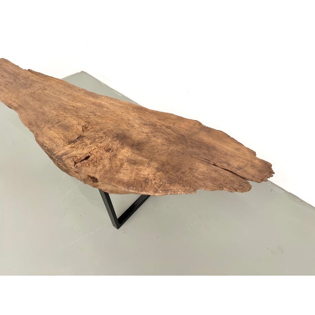 Organic Coffee Table in Poplar, 1990s For Sale - Image 18 of 18