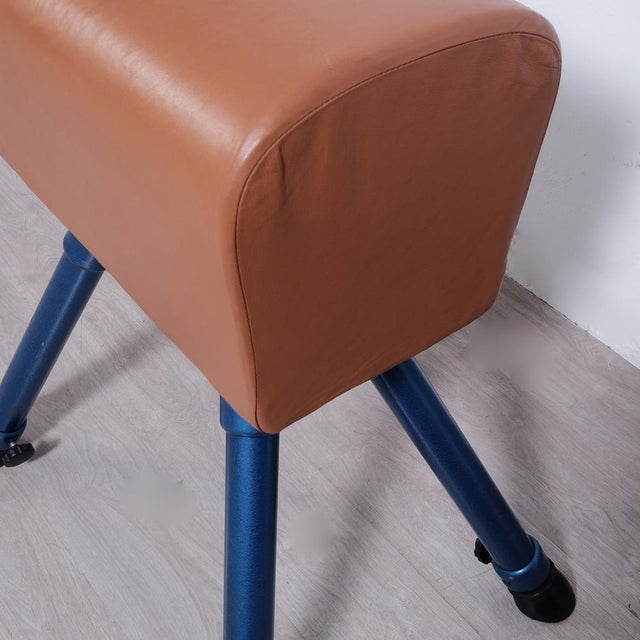 Vintage Height-Adjustable Leather Gym Stand, 1980s For Sale - Image 6 of 18