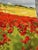 Vintage Aubusson tapestry wall hanging inspired by the artwork of William Blair Bruce, woven at the Art weaving workshops...