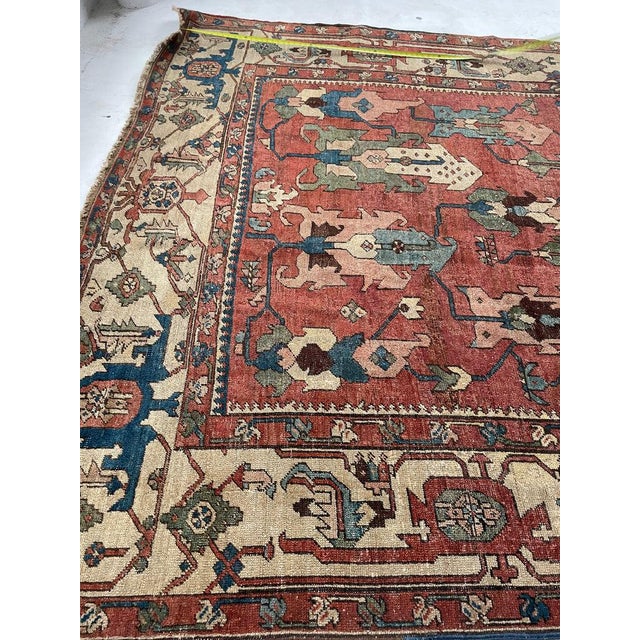 C. 1880's ANCIENT ANTIQUE SERAPI Narrow GEM Rug 8.10 x 15.1 For Sale - Image 9 of 16