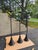 Custom Hand-Forged Wrought Iron Pendant Lights by Christopher Thomson - Set of 3 For Sale - Image 4 of 4