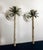 Metal Pair of Mid 20th Century Italian Hollywood Regency Cast Metal Palm Tree Toleware Candle Sconces For Sale - Image 7 of 8
