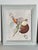 Shell Pair of Vintage Sea Shell Art Collages Signed and Framed For Sale - Image 7 of 7