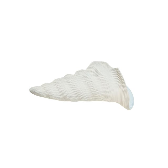 Vintage Crate & Barrel Coastal Whelk Shell White Texturized Vase For Sale - Image 6 of 11