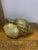 Vintage Set of 3 Brass Sea Shell Sculptures For Sale In Dallas - Image 6 of 12