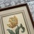 Vintage Yellow Tulip Botanical Print in Dark Wood Frame For Sale In San Francisco - Image 6 of 7