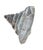 A striking Baccarat crystal nautilus shell sculpture showcasing the renowned French maker’s mastery of form, light, and...