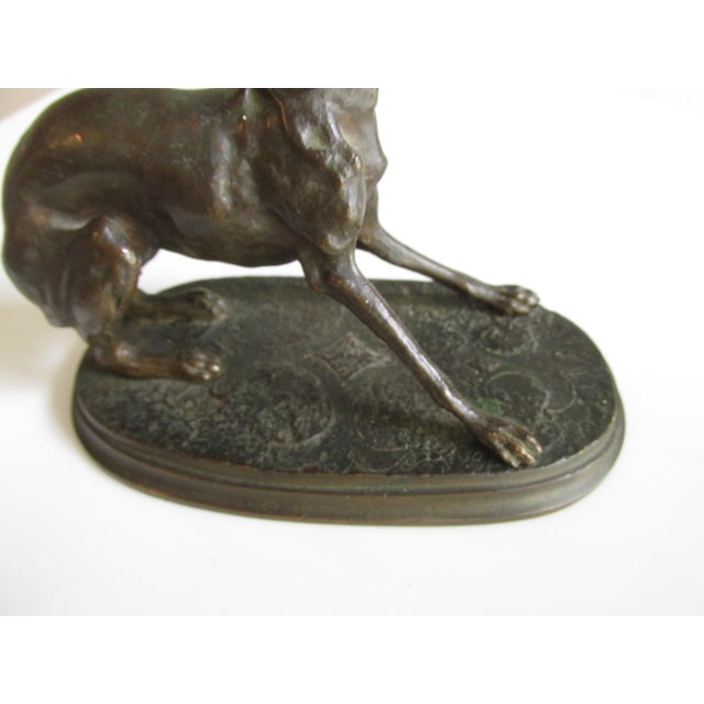 Antique French Bronze Depicting a Standing Whippet For Sale - Image 9 of 11