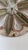 Italian Antique Italian Medallion For Sale - Image 3 of 6