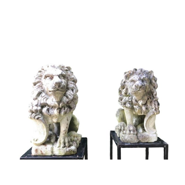 Stone Lions, 1950s, Set of 2 For Sale - Image 11 of 12