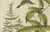 Copper Basilius Besler Spurge, Glasswort & Pennywort Botanical Engraving, 1613, Engraving For Sale - Image 8 of 10