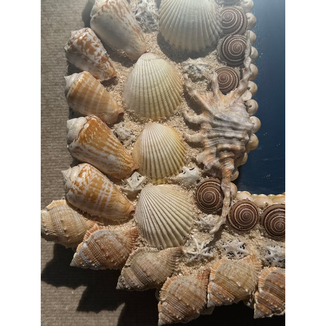 Currey and Company Stunning Large Natural Seashell Framed Mirror For Sale - Image 9 of 12