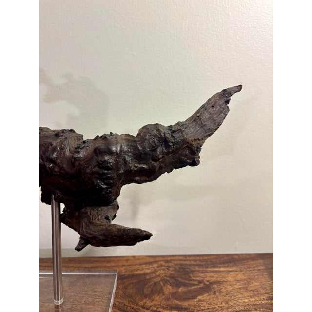 Vintage Natural Burl Wood Abstract Dragon Sculpture on Lucite Base, Coastal Modern For Sale - Image 4 of 9