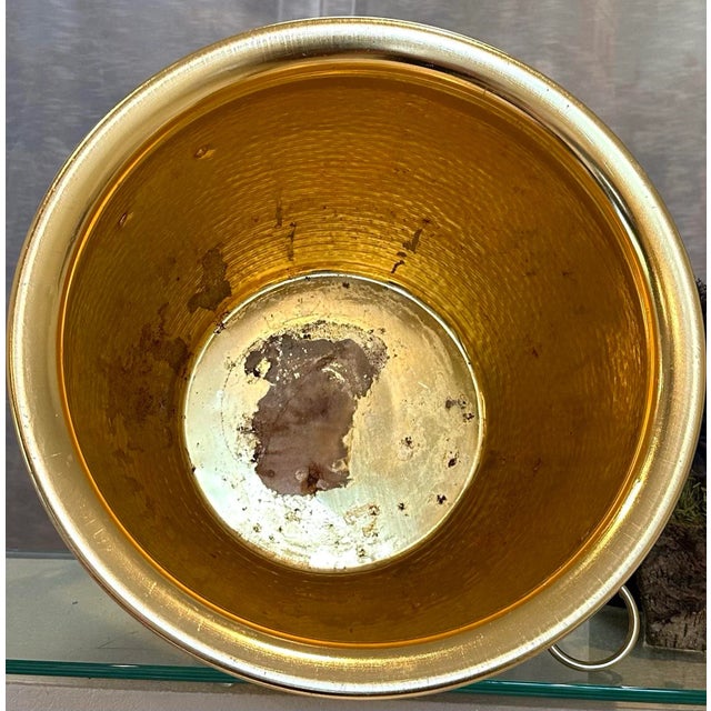 Large Indoor Vintage Foo Dog Handled Planter For Sale In Phoenix - Image 6 of 6