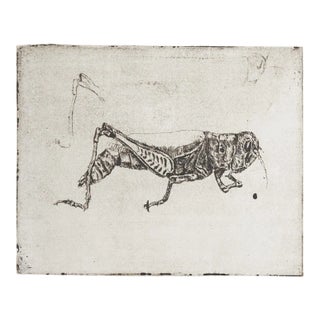 Late 20th Century Sepia Toned Grasshopper Etching For Sale
