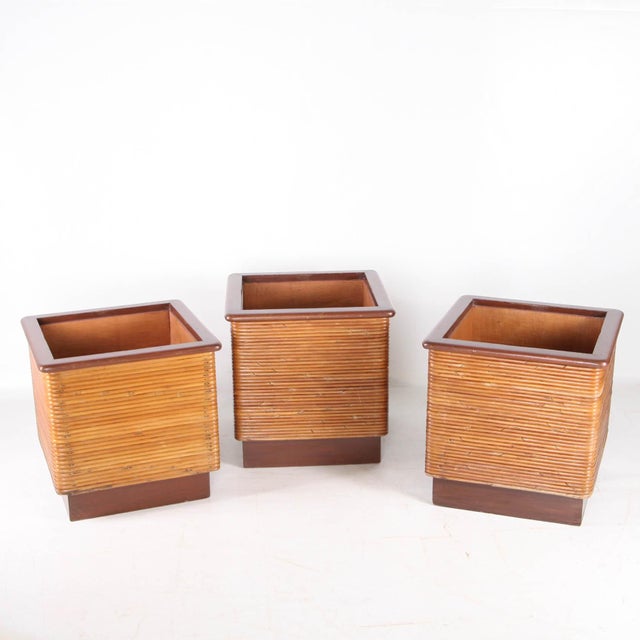 Vintage Rattan and Wood Planter, 1970s For Sale - Image 13 of 13