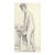 1907 Japanese Drawing of a Female Nude For Sale