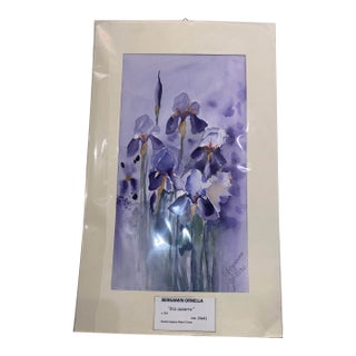 Iris Azzurro, Bergamin Ornella - Original Watercolor (2026) For Sale