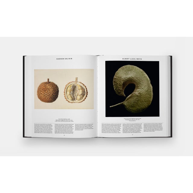 Plant: Exploring the Botanical World, Compact Format For Sale In New York - Image 6 of 9