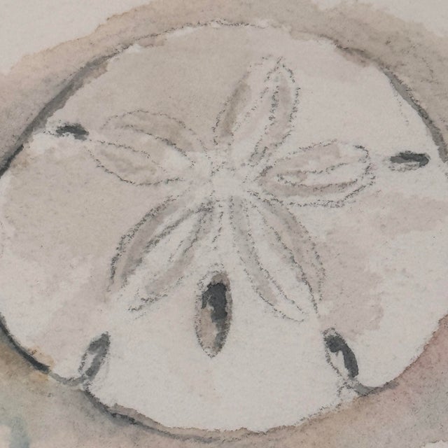 Signed "Dianne Grusso '91." Original Sand Dollar Watercolor Still Life For Sale - Image 4 of 11