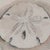 Signed "Dianne Grusso '91." Original Sand Dollar Watercolor Still Life For Sale - Image 4 of 11