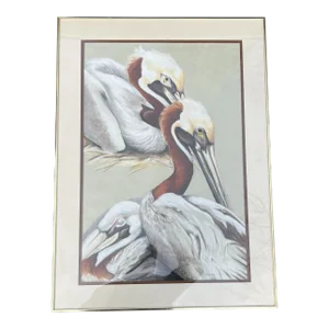 Original Framed Pelican Pastel Art