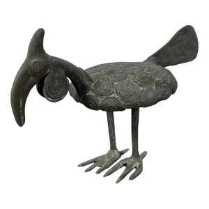 Ashanti Bronze Hornbill Bird