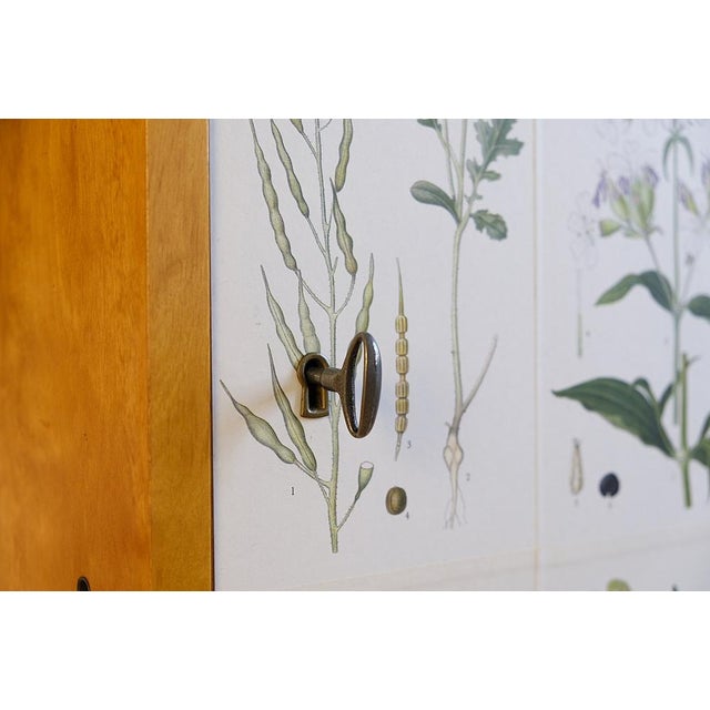 Wood Swedish Modern Nordens Flora Bookcase by C.A.M. Lindman, Sweden, 1940s For Sale - Image 7 of 12