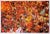 Sold with wooden frame in black color or others: 90 x 130 x 5 cm - 35,4 x 51,2 x 1,9 in ed. 1/7 photographer since 1995,...