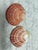 Natural Handcrafted Shell Trinket Tray For Sale In Sacramento - Image 6 of 7
