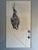American 1960s Andrew Wyeth Canvasbacks Framed Reprint For Sale - Image 3 of 3