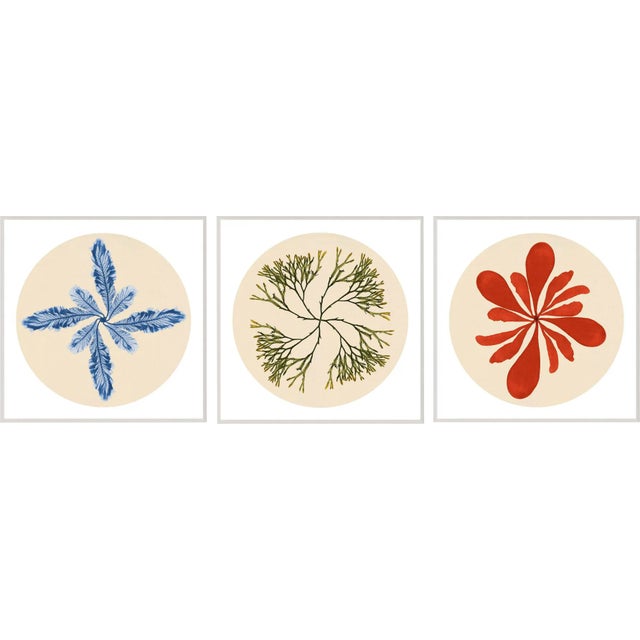 Modern Beach, Set Of 3, Framed Artwork For Sale
