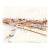 Ivy Attwell Port Said Egypt Landscape Drawing For Sale