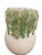 Emerald Hand-Crafted Italian Majolica Cabbage and Succulent Ceramic Vase For Sale - Image 8 of 12