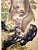 Japanese Maternal Macaque Painting by Mori Sosen (1747-1821) For Sale - Image 9 of 11