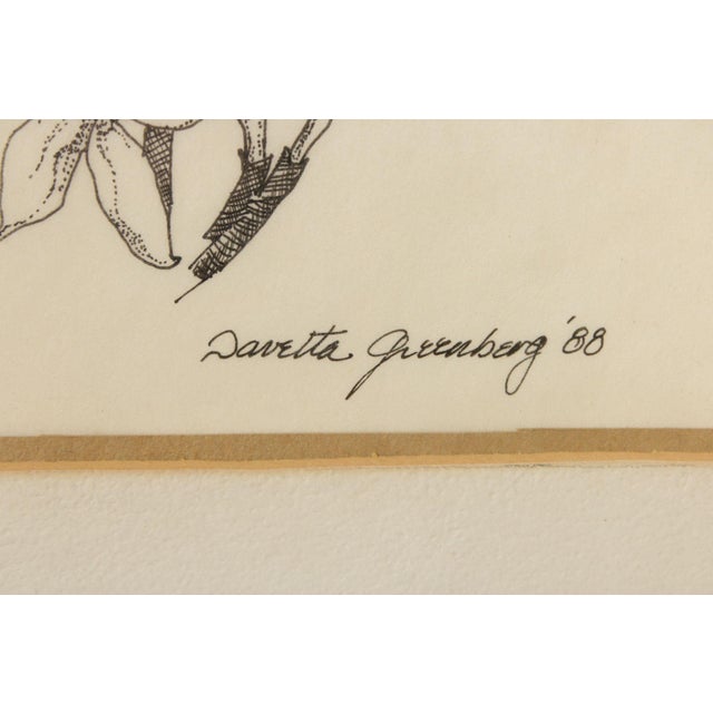 Davetta Greenberg Pen and Ink Drawing, 'Tuberoses' For Sale - Image 12 of 12