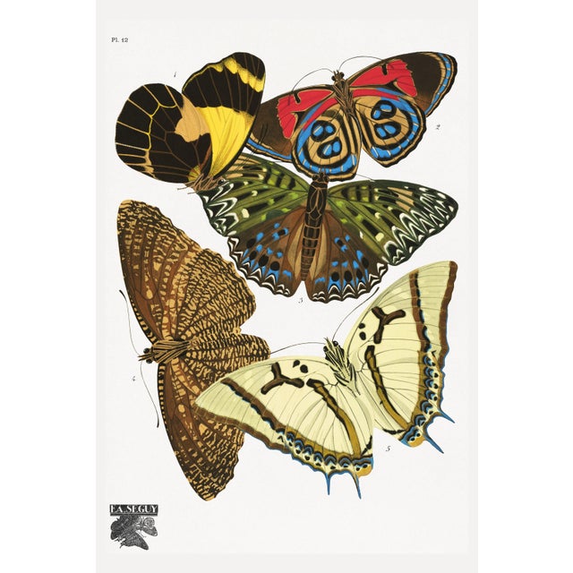 Art Deco Butterflies by E. A. Séguy, Vintage Art Print Reproduction, 40" X 60" For Sale